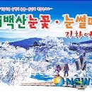 철도닷컴