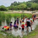 창녕생태곤충원 이미지