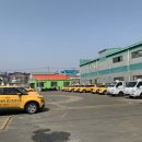 일산호수자동차운전전문학원