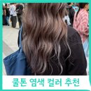 헤어디자인모습 홍대점 발레아쥬 옴브레 실버브라운 염색 후기