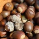 상그린로 이미지