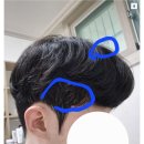 헤어갤러리 이미지
