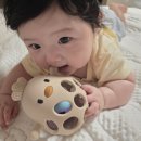 6개월 아기 치발기 추천 딸랑딸랑 꼬꼬 내돈내산 후기