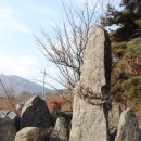 상신리 입석 Daum카페