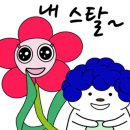 보그 메디 이미지