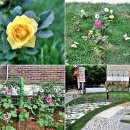 배다리행복나눔터 이미지