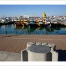 상트페테르부르크광장 이미지