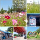 강매배수펌프장 | 서울 근교 꽃구경 산책 명소, 강매석교공원 유채꽃·코스모스 만발! 야장맛집 뚝방슈퍼까지