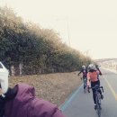 자이언트파마 이미지