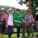 천태산농원 이미지