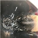 미뽐헤어 | 자연스러운 컬감 최고! 세종시미용실 미뽐헤어 굵은히피펌 솔직후기