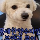 원피스공인중개사사무소 이미지