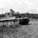 에이스오토 이미지