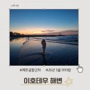 호텔하루 | 제주공항 근처 아이랑 가볼만한곳 이호테우해변 제주 오션패밀리호텔 숙박후기