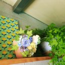 힐링수채화 & 펜드로잉 이미지