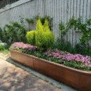 새천년로 이미지