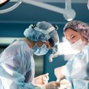 동원동물병원 이미지