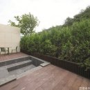 대정연가 이미지