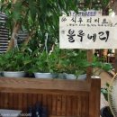 꽃마실해물칼국수