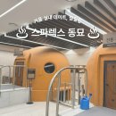 승주스크린실내골프연습장 | 겨울 실내데이트로 딱인 서울 대형 찜질방 '스파렉스 동묘' 후기