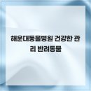 힐 동물병원 | 해운대동물병원 건강한 관리 반려동물