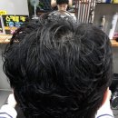 최가 미장 이미지