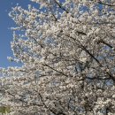 덕풍천동로 이미지