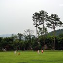 정광레포츠 이미지