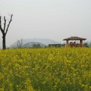 서운체육공원 이미지