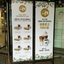 파스쿠찌영풍문고종각종로 | 파스쿠찌 젤라또 티라미수 피스타치오 바닐라빈 슈크림 맛별후기 영풍문고종각종로본점