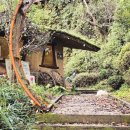 박터진흥부네 이미지