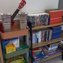 38펜션하우스 | 대형견 개별 수영장, 200평 단독 마당 풀빌라 다녀왔어요 :강원도 대형견 독채 펜션 [히노끼탕도 있어요]