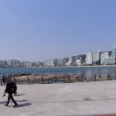 센텀프리모 부동산공인중개사사무소 이미지