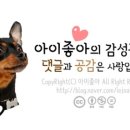 로맨틱큐브 B 이미지