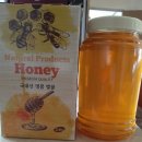토담골농원