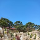 철쭉동산 이미지