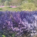 인천대공원(식물원 뒤) 이미지