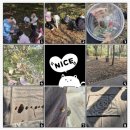 으뜸에듀센터어린이집 이미지