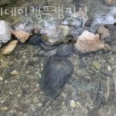 홀리데이캠프캠핑장 이미지
