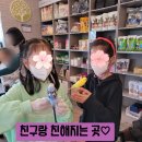 리프패럿 이미지