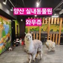 가촌리 1311 | [양산 실내동물원] 와우쥬 양산점 / 양산 아이랑 가볼만한 곳 / 양산 데이트코스 / 동물 먹이주기 체험
