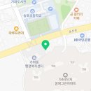 소심유치원 | 일산애견유치원 소담펫애견유치원 소심한 강아지 케어 후기