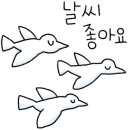 가수원로-21 이미지