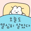 중앙마크사 이미지