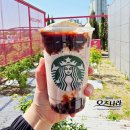 레드빙빙 | 스타벅스 레드빈 빙수 블렌디드 후기 1인 컵빙수 팥빙수 스벅 메뉴 추천