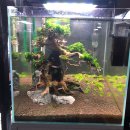 에스엔알(SNR) 이미지