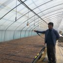 강원농장 이미지