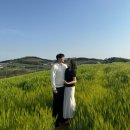 봉일식 | [Ch.10]상견례후기💗/루원 로베플라워 꽃바구니, 루원 달콤햇쌀 화과자 세트,보령대천 일식집 봉일식