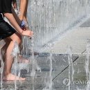 대원공원(분수대) 이미지