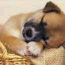 우리대박공인중개사사무소 이미지